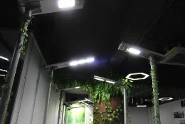 Solar street light showroom
